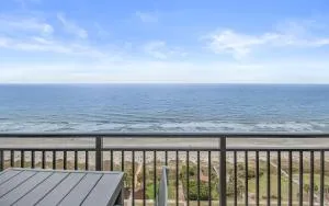 Super Cute Oceanfront Gem - Ocean Forest