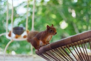 Hardanger Fjordtun TREETOPCABIN, nature, birds, silence, fjord and many nice hikes nearby