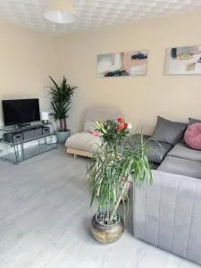 Great Contractor House with Private Garden Allocated Parking Close to Bedford River Embankment - 贝德福德