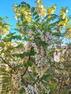 La casa di nonna Bonaria img25