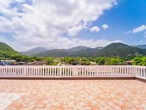 Scarlett near Kingston Airport