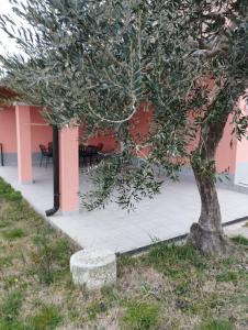 Apartmaji Paliska C1