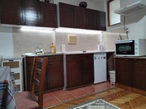 Apartment studio Ignjatovic