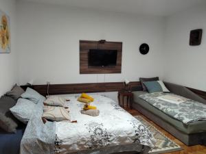 Apartment studio Ignjatovic