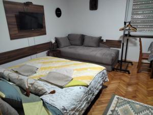 Apartment studio Ignjatovic