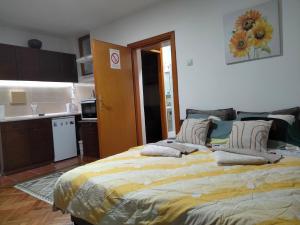 Apartment studio Ignjatovic