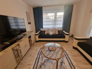 Schatzberg - 普富伦多夫