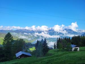 Chalet dalpage avec vue incroyable