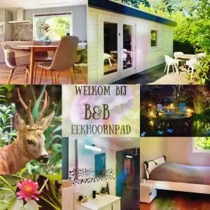 B&B Eekhoornpad - Hulten