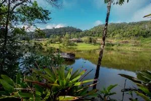 Lago 7 Cores - 塔皮拉伊