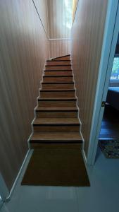 Cabañas ROMA, entre volcanes