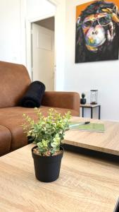 Appartements La Reconquete des remparts : photos des chambres
