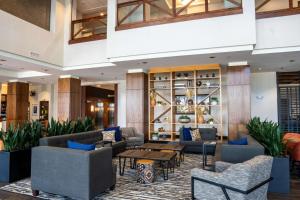Drury Plaza Hotel Dallas Arlington