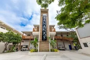 Bananas On The Beach - Maskall