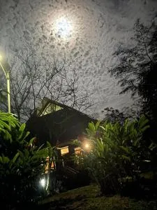 Momotus House - La Torre