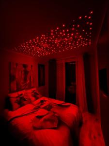 Appartements LE SPLENDIDE : photos des chambres