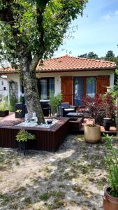 Appartements LE SPLENDIDE : photos des chambres