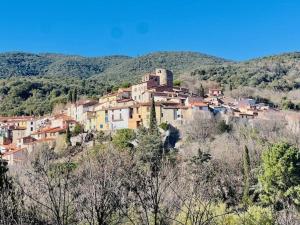 Appartements Confortable F3 a Amelie-les-Bains avec Parking Facile et WIFI, proche du Centre et des Cures - FR-1-703-187 : photos des chambres