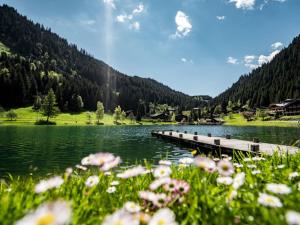 Appartement 2 pièces près des remontées - Châtel - FR-1-676-185