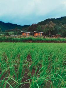 Klang Khao Cabin & Camp