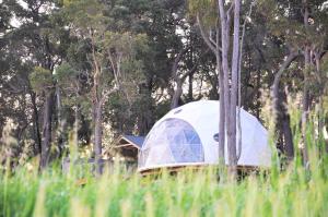 Mile End Glamping