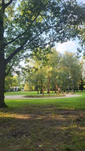 City Park Appartement