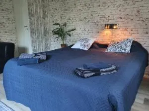 Valoisa iso yksiö, 2 km keskustaan - Petäjävesi