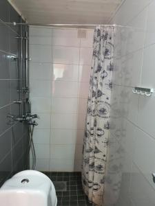 Ilmastoitu yksiö ja keittiö 2 km keskustaan