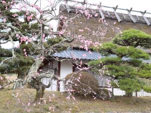 料理旅館 山里料理 いそべ -Ryokan Isobe-