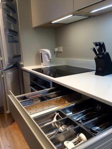 Luxury apartment Vytauto 16