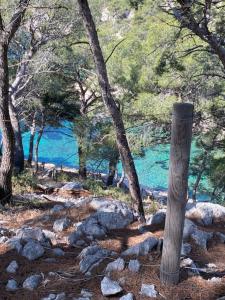 Appartements Le PORT MIOU pres calanques de Cassis 2 chambres 6 personnes : photos des chambres