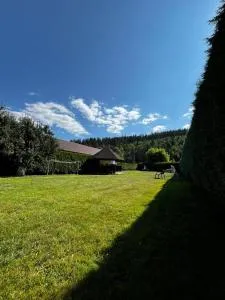 Forest View Cottage - Voroneţ