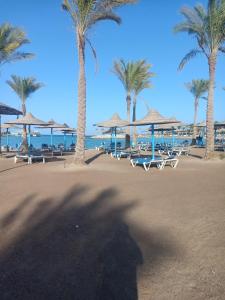 A two-room chalet in the village of Lale Land, Mirage Bay, Ecopark