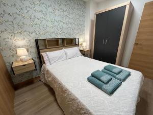 Apartamentos Torres del Milladoiro