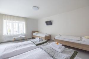 A studio Veselka Litomyšl