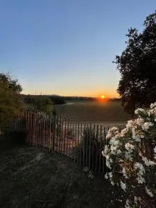 Domaine Camp Fourca - Beaumont-de-Pertuis