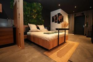 Ciné jungle duplex balnéo