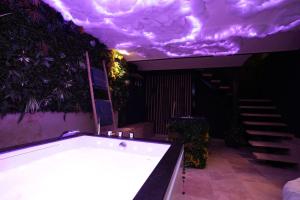 Appartements Cine jungle duplex balneo : photos des chambres