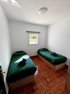 Beautiful House Delta Ebro