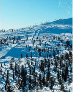 Lux Lapland Gielas Utsuvaara Levi