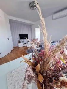 Sunset - تسليتش