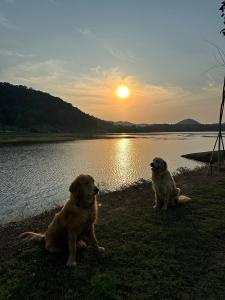 เติมฝัน แคมป์ปิ้ง