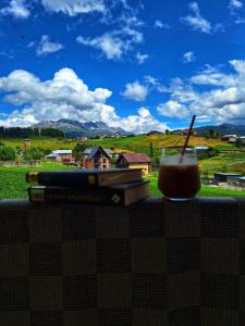 Tsvirmi Zviadis guesthouse