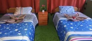 Lucmabamba Dulcesueños Xiomara - Cachora