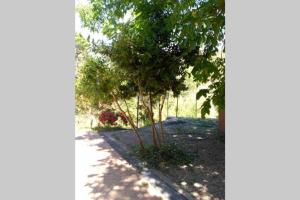 Desconecta en el Valle de Tus