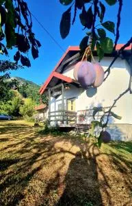 Kosta's romantic house - Andrijevica