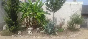 maison grand parking privé - 图尔农－圣马丹