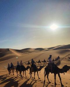 Morocco travel activities