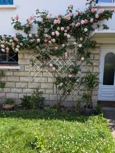 Cosy appartment with access to garden, parking and direct line to Eiffel tower