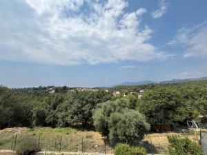 Maisons de vacances Villa Bella : photos des chambres